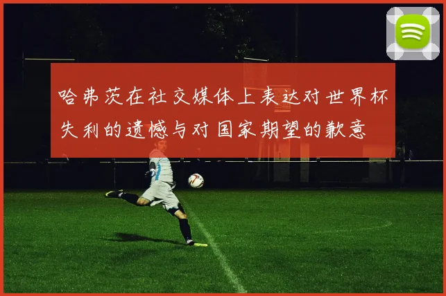哈弗茨在社交媒体上表达对世界杯失利的遗憾与对国家期望的歉意